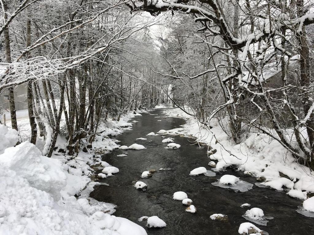 אבונדאנס Spacious Ski Chalet In Traditional French Village, Sleeps 8, Four Star With Fibre Broadband מראה חיצוני תמונה