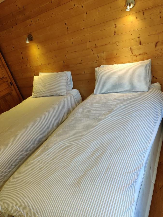 אבונדאנס Spacious Ski Chalet In Traditional French Village, Sleeps 8, Four Star With Fibre Broadband מראה חיצוני תמונה
